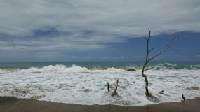 Playa Uva