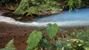 Rio Celeste - Meeting of the rivers