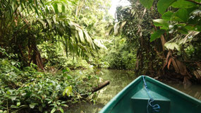 Tortuguero Canoe
