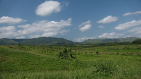 Belize - on the southern Highway