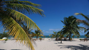 Placencia - sand and palm trees