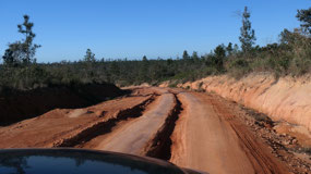 Mountain Pine Ridge - good thing we have a 4x4