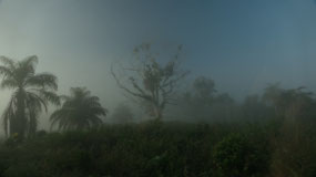 the fog is slowly lifting