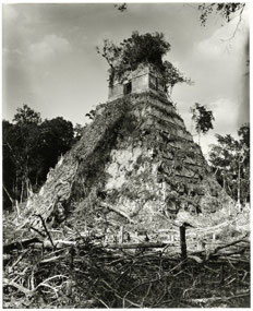 Tikal - on how they rediscovered Tikal