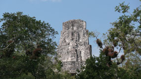 Tikal - Temple III