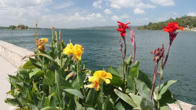 Flores - flowers and a view