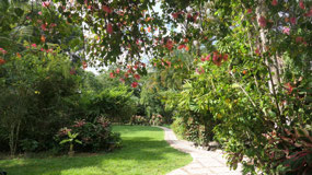 Banana Lodge - beautiful gardens