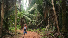 Mayflower Bocawina NP - big trees and small Paul