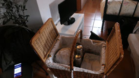 Amiera - our breakfast basket