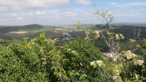 Vejer de Frontera - over the countryside