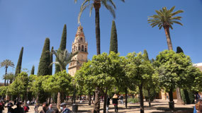 Cordoba - Mezquita - patio de los naranjas