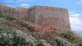 Forte de Beliche - behind the Fort