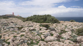 Farol St. Vincente - over the rough stones