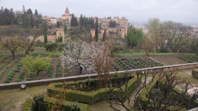 Alhambra Generalife - view on Alhambra from Patio