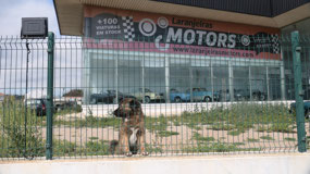 Faro - an abandoned car dealer