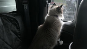 We are heading out