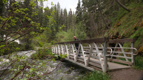 100 Mile house - the attraction of town