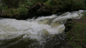 100 Mile house - visiting the little river