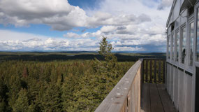Mt Begbie - on the lookout tower