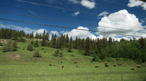 Farmland  - in cowboy country