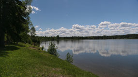 100 Mile Lake - along the lake