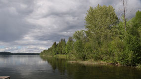 100 Mile Lake - nice views