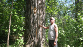 PG Cottonwood Park - cool wood carvings