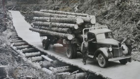 PG forestry museum - logging in the old days