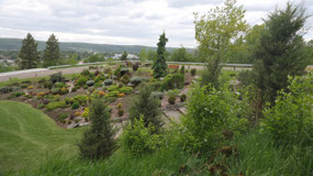 Prince George - a cool park in the park