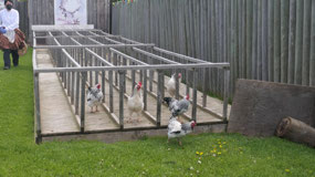 Fort St. James NHS - at the chicken race