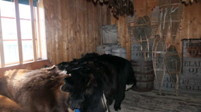 Fort St. James NHS - furtrading ware house