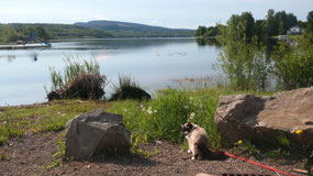 Burns Lake - Mandy exploring