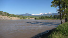 Hazelton - good morning sunshine