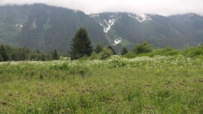Steward boardwalk
