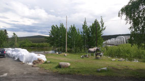 Teslin - all is flooded