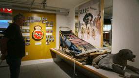 Whitehorse Transport museum - dogsleds