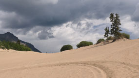 Carcross desert