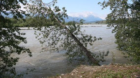 Haines Hwy - view on the river