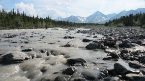 Quilt River - a beautiful river