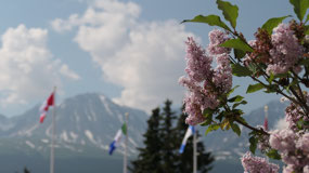 Haines Junction