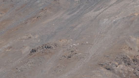 Kluane Lake - can you see the sheep