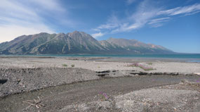 Kluane Lake - exploring the lakeshore