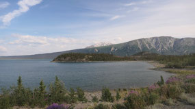 Kluane Lake - let's look for a campsite