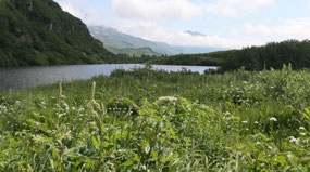 Blueberry lake Rec site