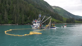 Columbia Icefield - salmon fishing