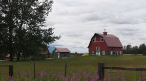 Palmer - the red barns