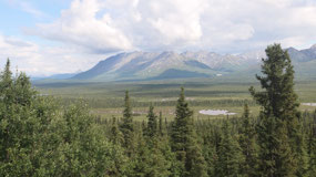 Glenn Hwy