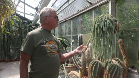 Anchorage - Greenhouse - looking cool