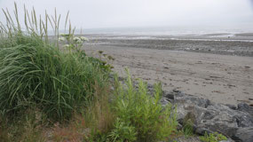 Anchor Point SP