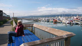 Homer - Marina at the spit